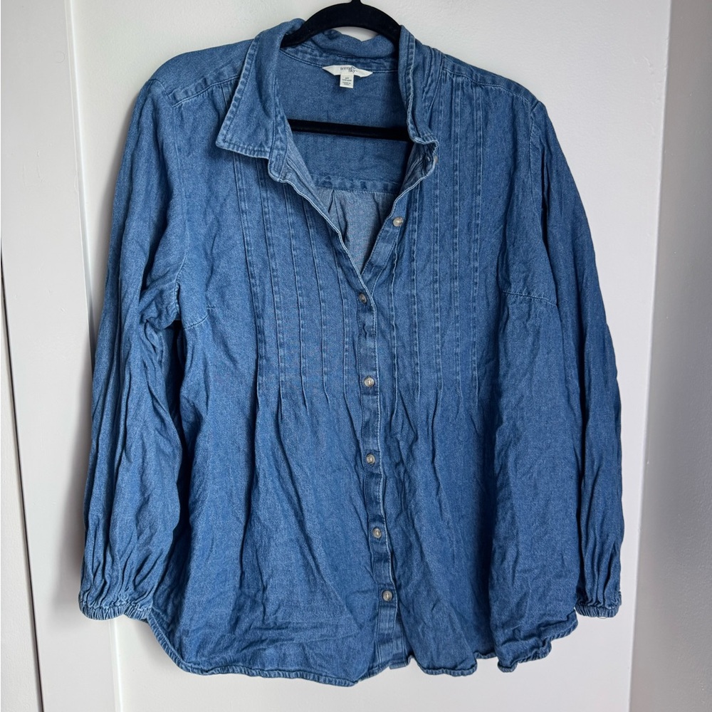 Terra & Sky Light Blue Denim pleaded Top